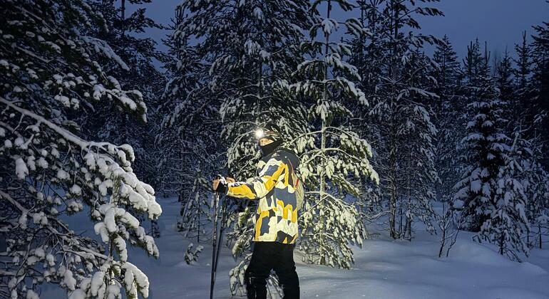 Hike Tour with Locals near Rovaniemi City Provided by Juho Naakka