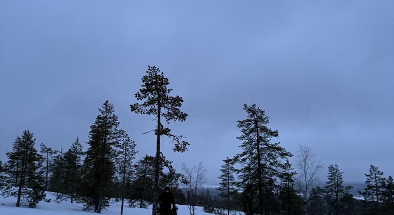 hike-with-locals-near-rovaniemi-city-en-1