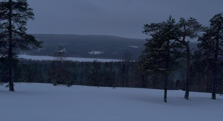 hike-with-locals-near-rovaniemi-city-en-2