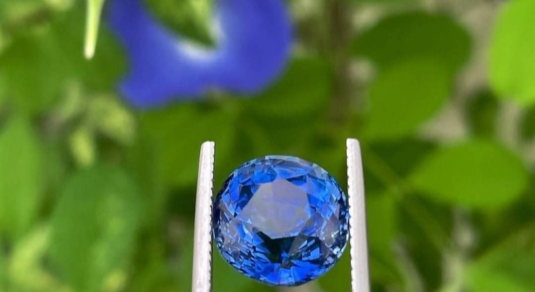 elahera-gem-mining-tour-en-1