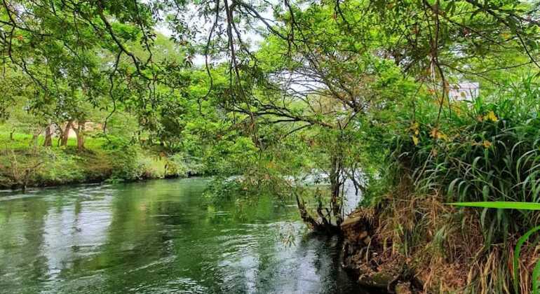 elahera-gem-mining-tour-en-7