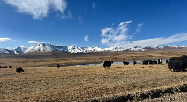 Tour von Bischkek zum Song-Kul-See und Besuch des antiken Burana-Turms Kirgisistan &mdash; #15