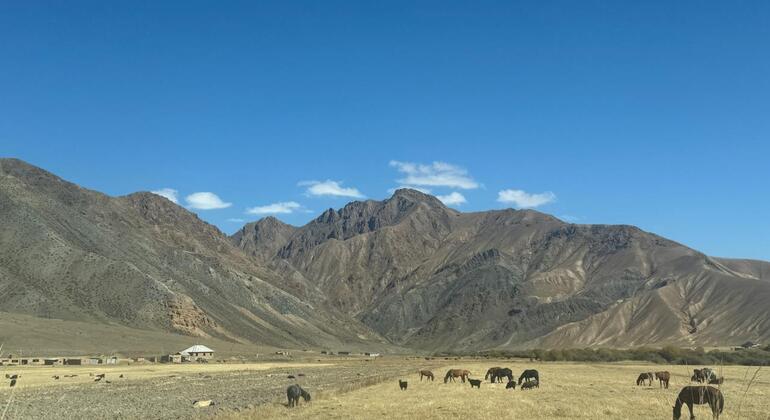 Tour von Bischkek zum Song-Kul-See und Besuch des antiken Burana-Turms Kirgisistan &mdash; #16