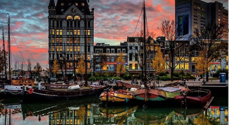 Fall in Love with Rotterdam Walking Free Tour Provided by Duck and You