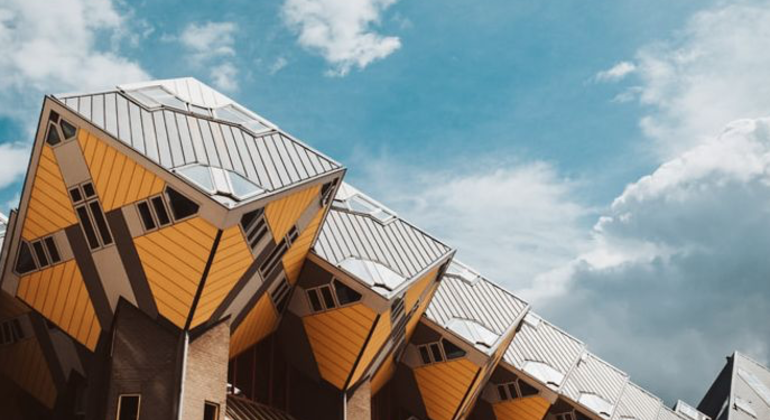 Fall in Love with Rotterdam Walking Free Tour Netherlands &mdash; #5