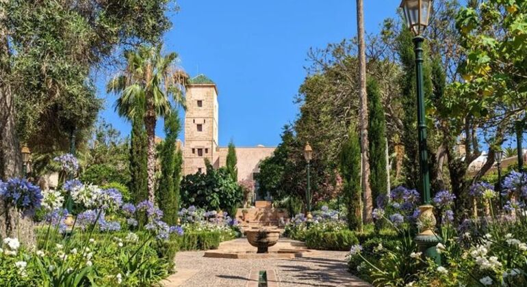 Rabat Royal Free Tour
