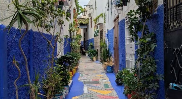 Rabat Royal Free Tour Marrocos &mdash; #3