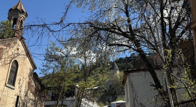 Tbilisi walking Free Tour Georgia &mdash; #3