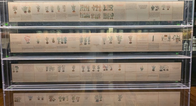 Cara B de México DF Free Tour: Murales, fantasmas y leyendas México &mdash; #5