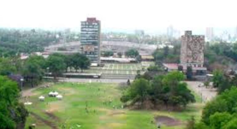 Tour gratuito Ciudad Universitaria UNAM: arte, architettura e scienza Messico &mdash; #4