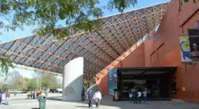 Tour gratuito Ciudad Universitaria UNAM: arte, architettura e scienza Messico &mdash; #7
