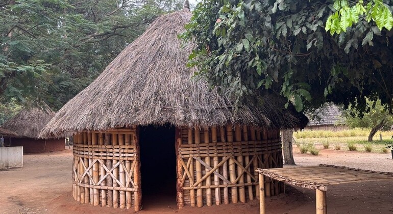 Visita gratuita a la ciudad de Dar es Salaam Tanzania &mdash; #5