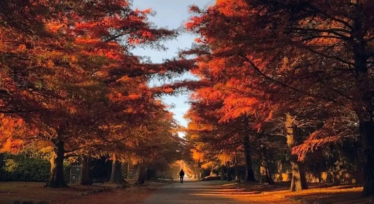 History & Nature of Carrasco Free Tour Uruguay &mdash; #2