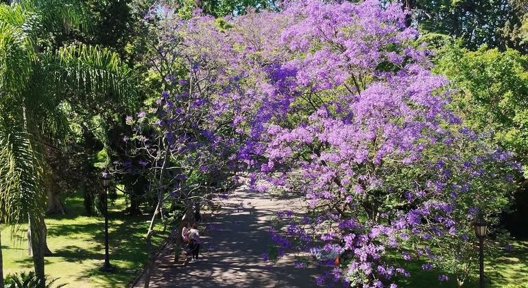 History & Nature of Carrasco Free Tour Uruguay &mdash; #3