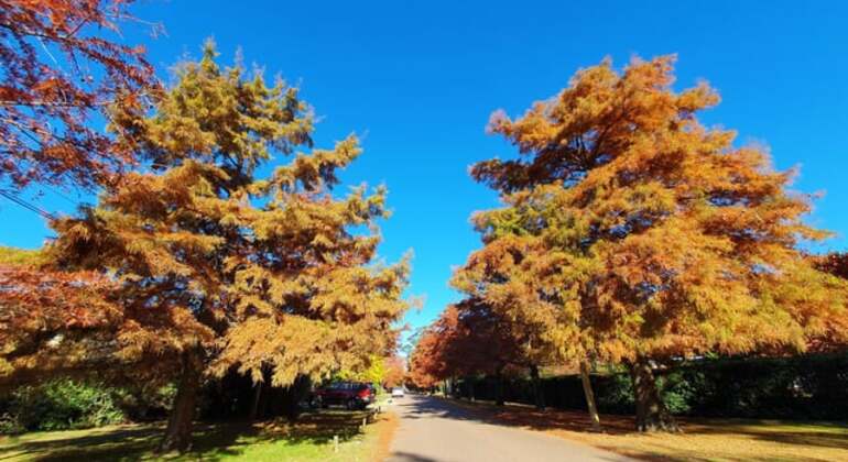 History & Nature of Carrasco Free Tour Uruguay &mdash; #6