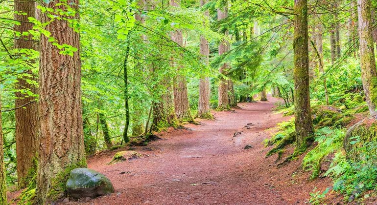 excursio-to-the-highlands-queen-viewpoint-william-wallace-es-3