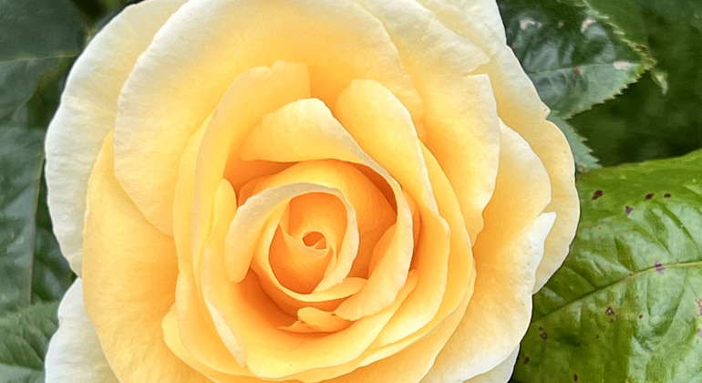 Visite gratuite du parc du Golden Gate États-Unis &mdash; #2