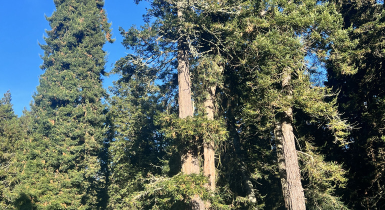 Visite gratuite du parc du Golden Gate États-Unis &mdash; #3