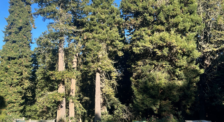 Visite gratuite du parc du Golden Gate États-Unis &mdash; #8