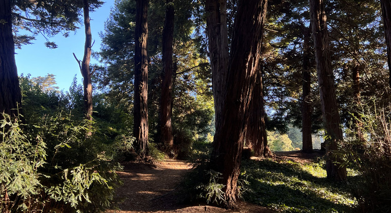 Visite gratuite du parc du Golden Gate États-Unis &mdash; #9