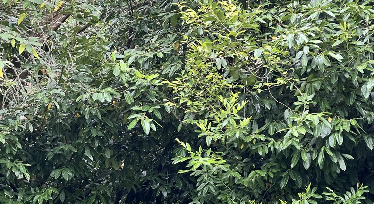 Visite gratuite du parc du Golden Gate États-Unis &mdash; #10