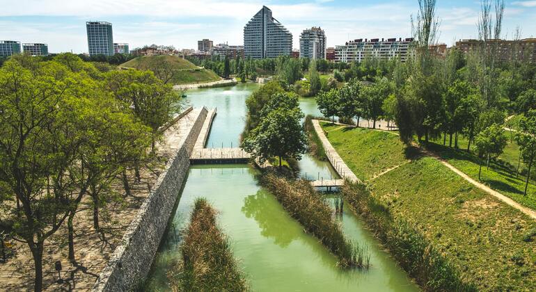 Visita gratuita a los Jardines del Turia y la Ciudad de las Artes España &mdash; #6