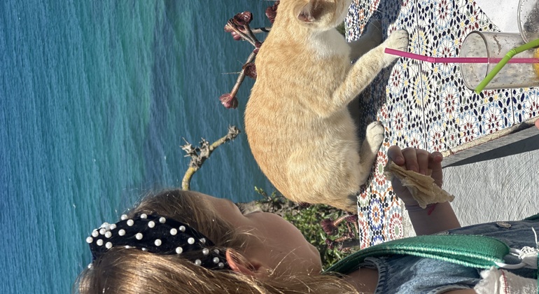 Tangier Free Walking Tour: Where Africa Meets Europe Morocco &mdash; #6