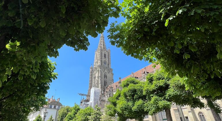 Descubra Berna Free Tour: Comprender Suiza  Suiza &mdash; #4