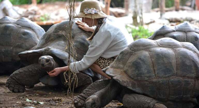 Prison Island & Nakupenda Sandbank Gemeinsame Tour mit BBQ Tansania &mdash; #7