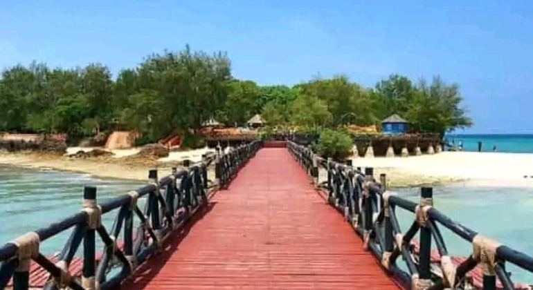 Prison Island & Nakupenda Sandbank Gemeinsame Tour mit BBQ Tansania &mdash; #11