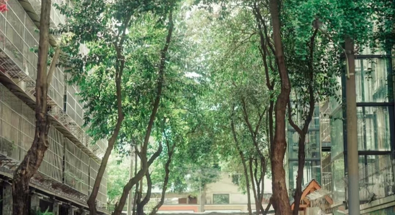 Fanghua Straße & Yulin Markt Tour: Kunst, Kaffee und Straßensnacks China &mdash; #5