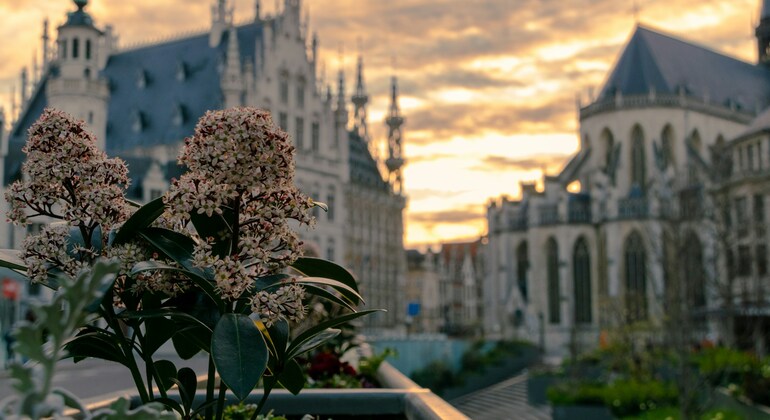 Free Walking Tour of Leuven: Discover the Real City Belgium &mdash; #2