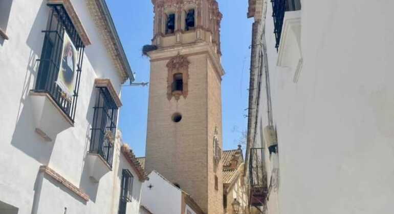 free-tour-of-ecija-es-2