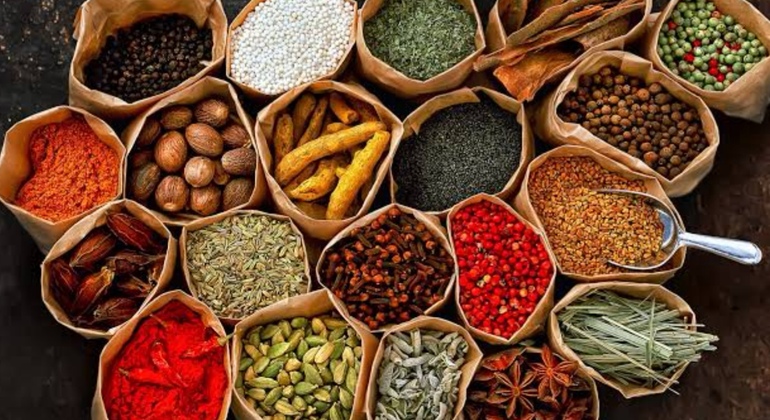 The Gentle Spice Garden Experience  Tanzania &mdash; #2