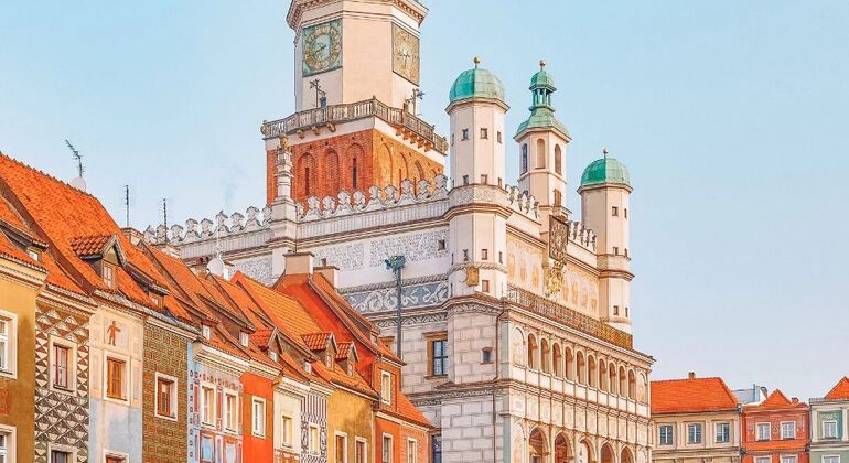 feel-free-in-poznan-en-1