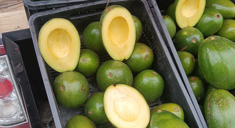 Tour à Bogota : Marché Paloquemao, La Candelaria et Monserrate Colombie &mdash; #3