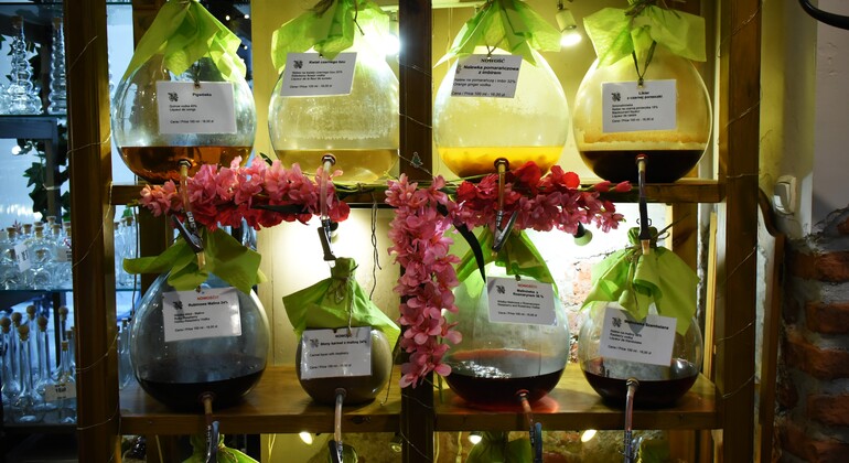 traditional-polish-food-walking-tour-es-6