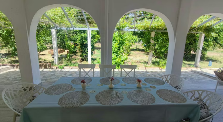 Tour della Paella Valenciana: Preparate la vostra paella con un abitante del luogo