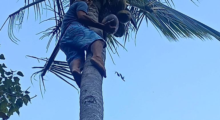 free-walking-heritage-tour-es-3