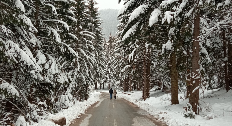Tour di Sarajevo: Monumenti storici e sapori tradizionali Bosnia-Erzegovina &mdash; #8