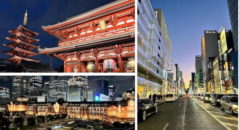 Tokyo Essentials: Evening Free Tour