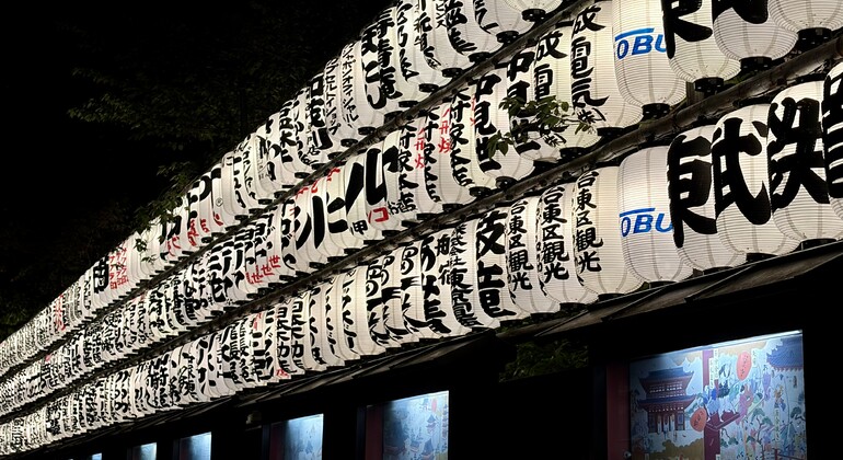 Tokio Essentials: Freie Abendtour Japan &mdash; #5