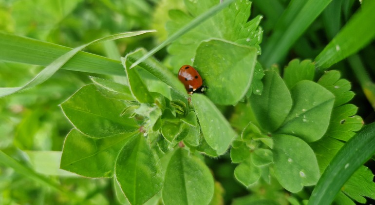 St. George’s Monastery Tour Albania &mdash; #4