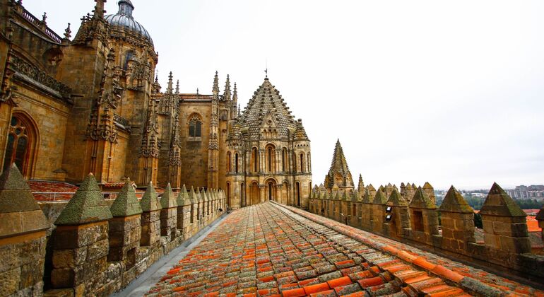 Kostenlose Tour Salamanca Monumental in vollem Umfang Spanien &mdash; #7