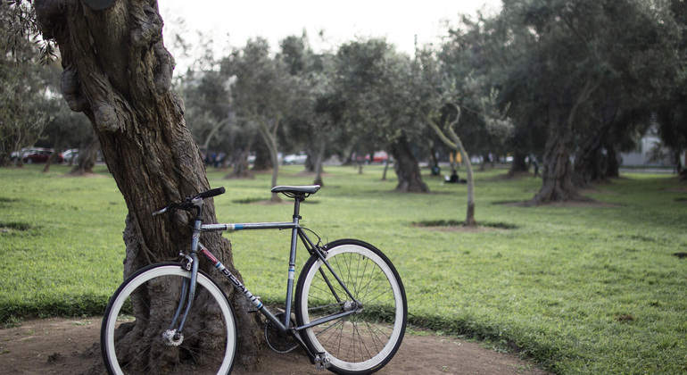 Tour fotográfico em Miraflores: Pirâmide antiga, olival e falésias do Pacífico Peru &mdash; #3