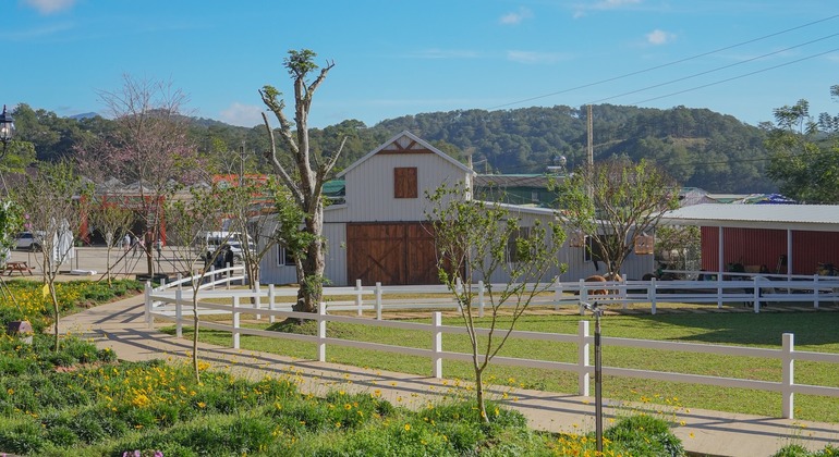 private-city-tour-in-dalat-es-9