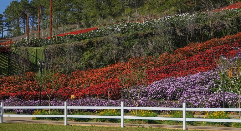 private-city-tour-in-dalat-es-11