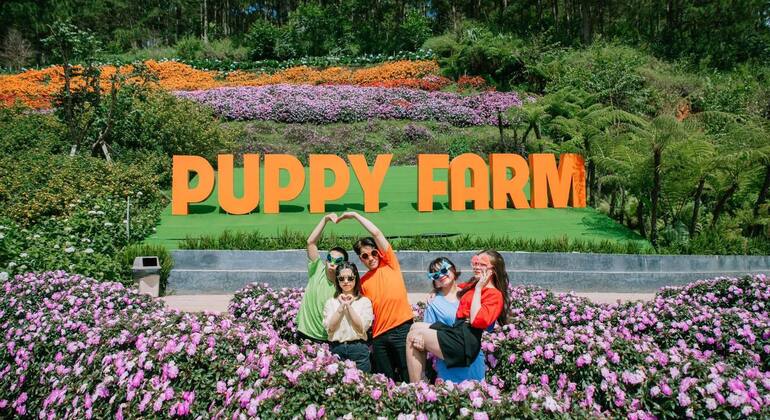 private-city-tour-in-dalat-es-13