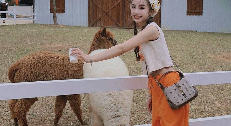 private-city-tour-in-dalat-es-14