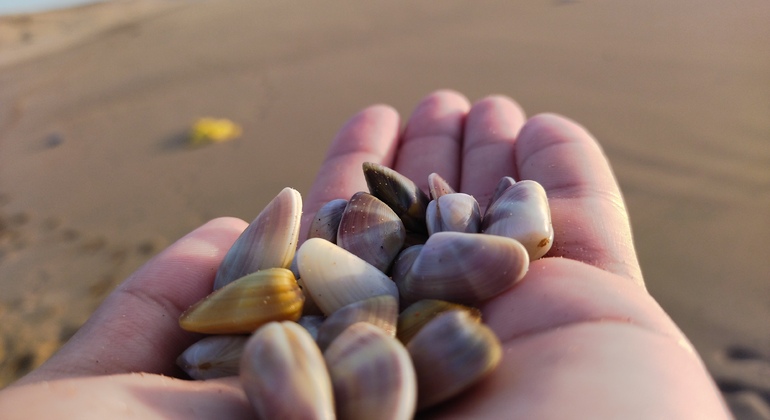 Day Trip to Aghbalo: Discover Nature and Amzighe Traditions Exchange Morocco &mdash; #8